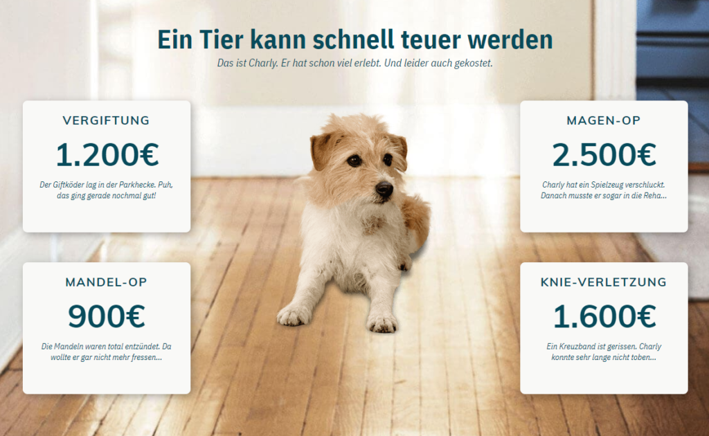 PetProtect Hund Versicherung Vergleich &amp; Erfahrungen 05/2021