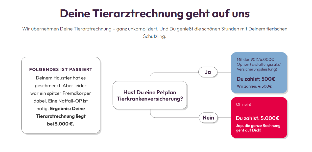 Petplan / Figo Hundeversicherung Vergleich & Erfahrungen 09/2024